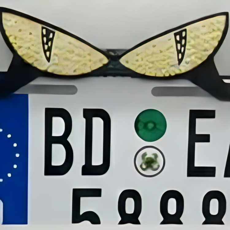 Universal LED Devil Eyes Number Plate Light Frame - Image 4